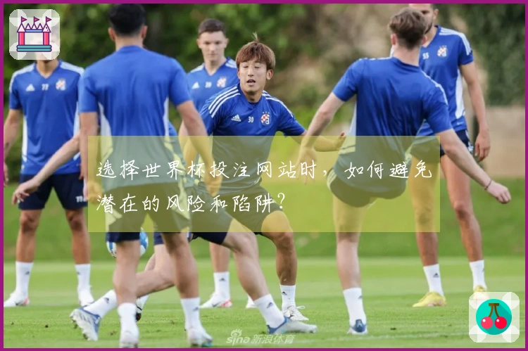 选择世界杯投注网站时，如何避免潜在的风险和陷阱？