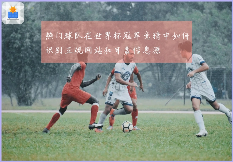 热门球队在世界杯冠军竞猜中如何识别正规网站和可靠信息源