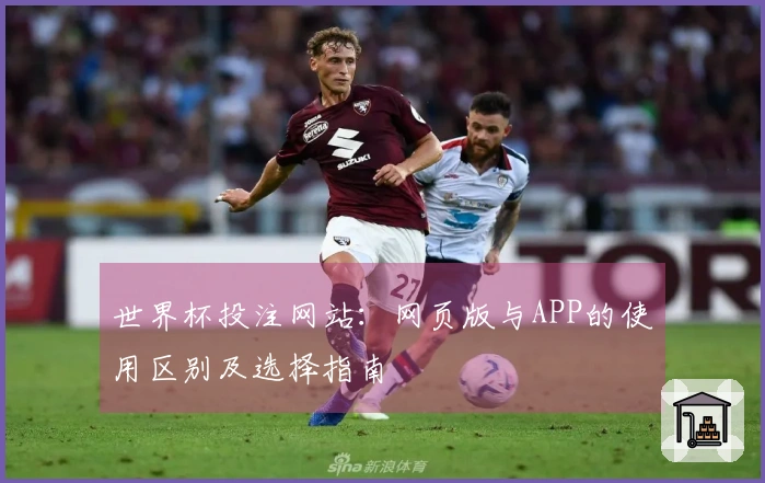 世界杯投注网站：网页版与APP的使用区别及选择指南