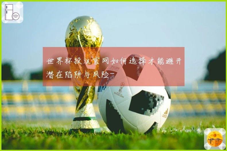 世界杯投注官网如何选择才能避开潜在陷阱与风险-