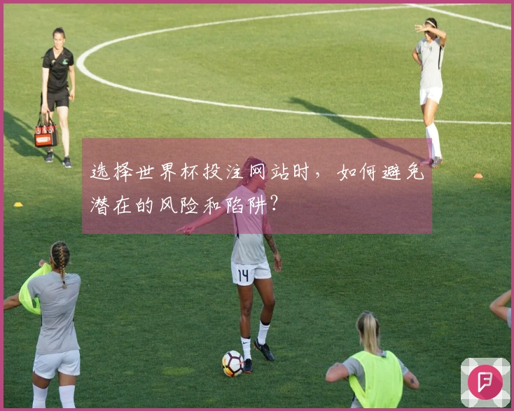 选择世界杯投注网站时,如何避免潜在的风险和陷阱?
